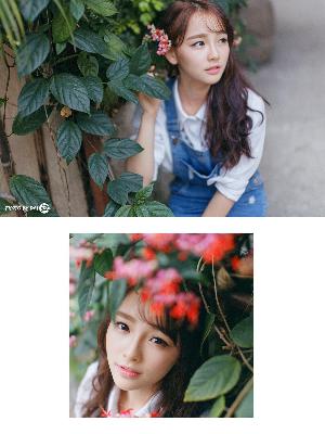 中文免费高清在线看电视剧