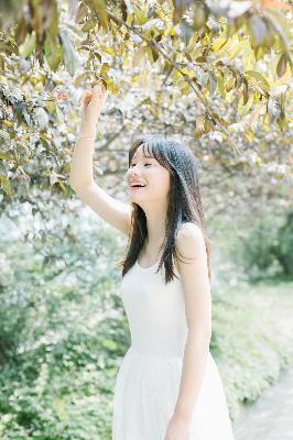 俄罗斯引擎YANDEX进入