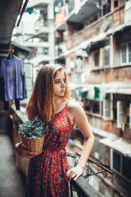 高清视频免费观看