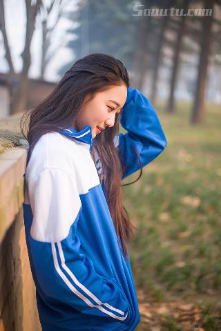 大秦赋全集在线观看免费完整版