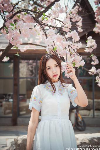 茶杯狐官方版官网