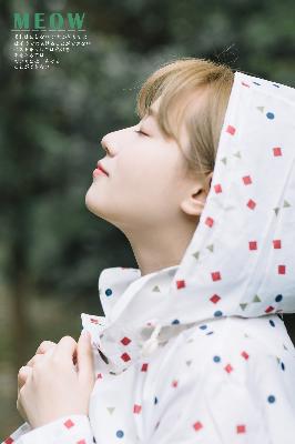 国产免费完整高清电视剧在线看倚天