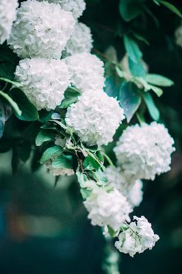 555电影NETFLIX官网笔盒