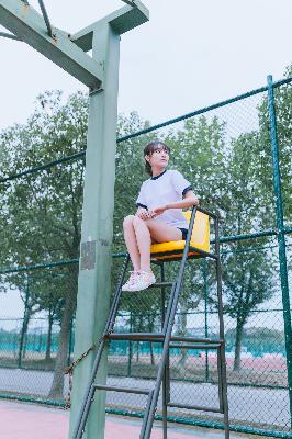 白色橄榄树电视剧完整版免费观看