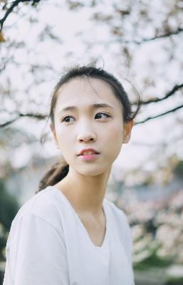 献鱼电视剧免费观看完整版