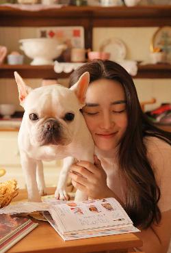 伪装者电视剧全集免费观看