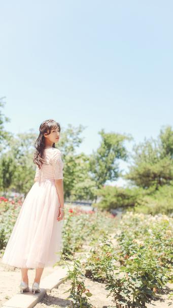 小巷人家演员表