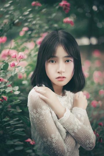 影视大全免费追剧