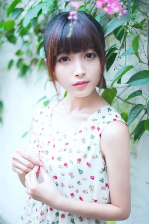 我的阿勒泰电视剧免费观看