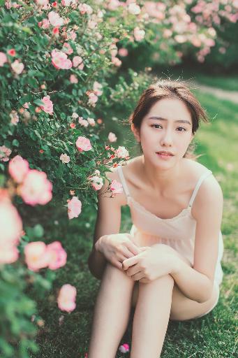 志愿军3浴血和平