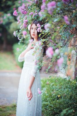 与凤行免费观看完整版电视剧