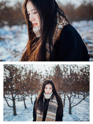 北上电视剧免费观看全集完整版