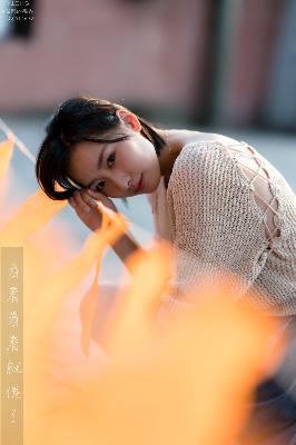 WEYVV5国产的SUV网站