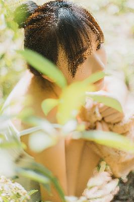 陈情令电视剧免费观看完整版高清