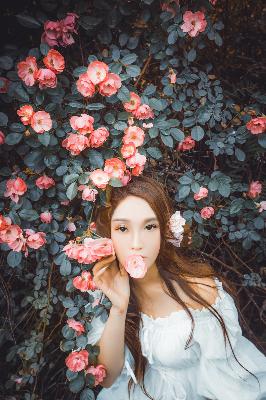 剑来第二季在线观看