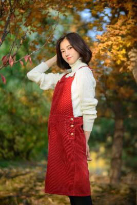 对手电视剧免费观看完整版高清