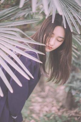 免费高清在线观看