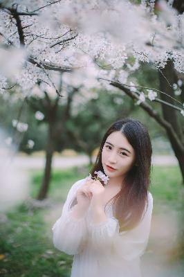 莲花楼电视剧免费观看完整版