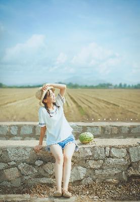 免费的网站域名查询