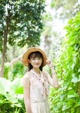 平凡的世界电视剧免费全集在线观看