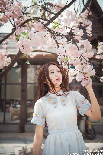 2026正版资料大全免费