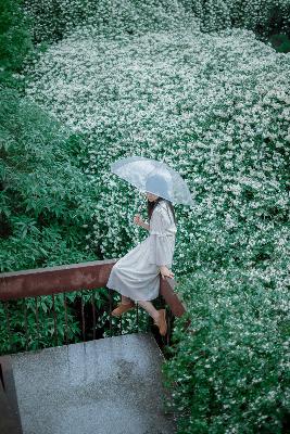 最初的相遇最后的别离电视剧免费观看