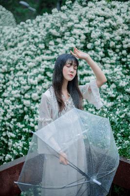 楚乔传电视剧免费观看全集