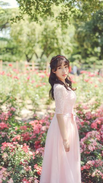 父母爱情电视剧免费观看完整版