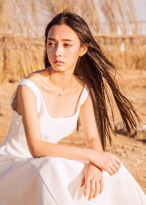 GOGOGO免费完整国语版