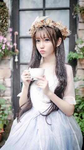 书卷一梦电视剧免费观看