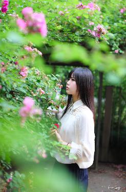 叶辰萧初然最新更新全文免费