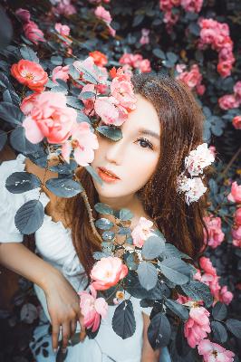 三年大片大全免费观看国语